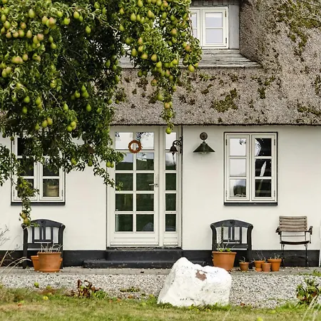 By The Bay A Thatched House Lies So Beautifully Norre Aby